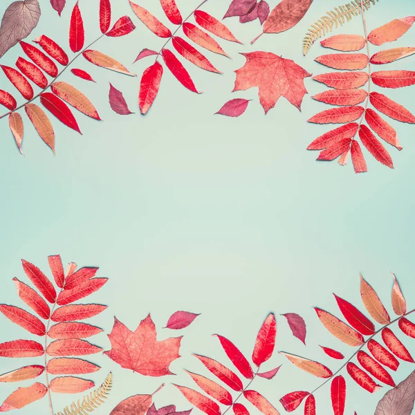 ターコイズブルーの背景 トップビュー フレームに様々なカラフルな紅葉で作られた美しい秋の季節の作曲やパターン — ストック写真