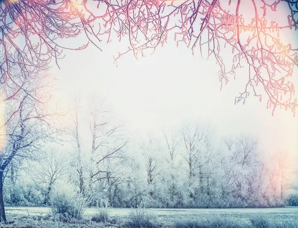 雪の木や枝のフレームと美しい冬の国の風景 — ストック写真