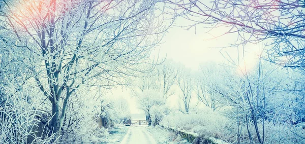 雪の木や道路やゲートと美しい冬の国の風景 — ストック写真