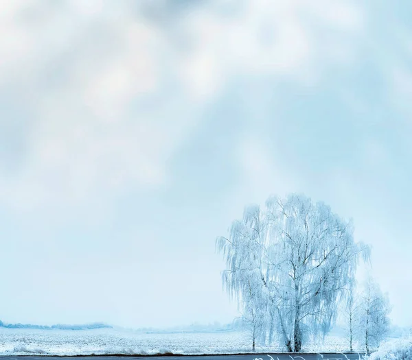 雪原のある冬の風景と空を背景にした樹氷 — ストック写真