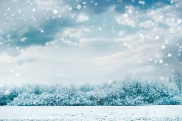 雪が積もる空を背景に凍る木々や雪に覆われた美しい冬の風景 — ストック写真