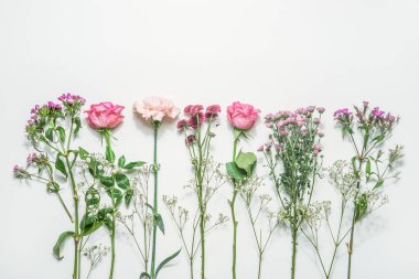 Çiçek arkaplanı, pembe ve mor yapraklı çeşitli çiçekler ve beyaz arka planda yeşil yapraklar. Üst görünüm.