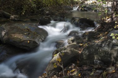 Rpidos en la corriente de un ro