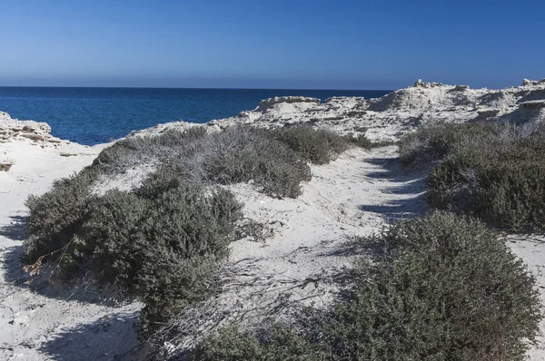 Nacidas sobre dunas de arena fsil blancas bitkileri