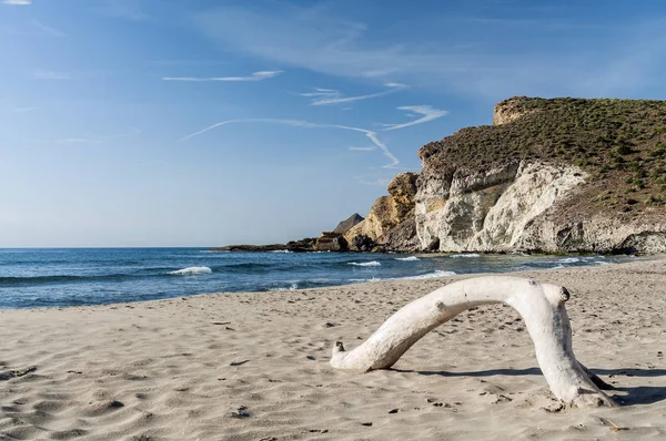 Playa con un tronco de rbol en la arena