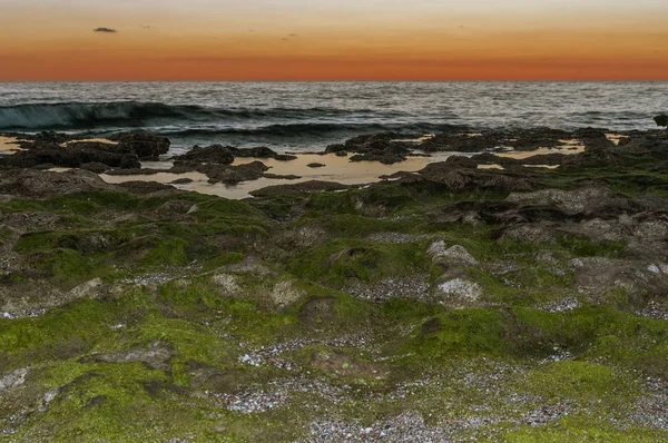 Rocas con musgo en la orilla del mar