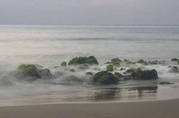 Rocas con musgo en una playa, baadas por el mar