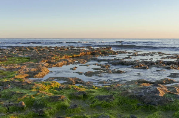 Rocas con musgo a la orilla del mar