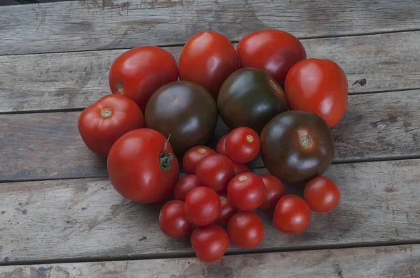 Distintos tipos de tomates sobre tablas de madera