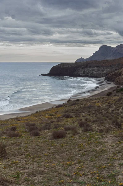 Vista genel de la playa del Barronal en Almera