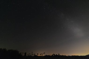 Va Lactea con siluetas de palmeras
