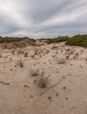 Vejetaryen Duna de Arena