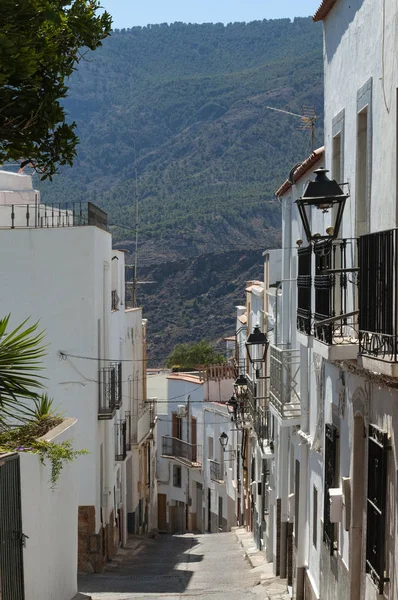 Adı tpica de la Alpujarra Almeriense.