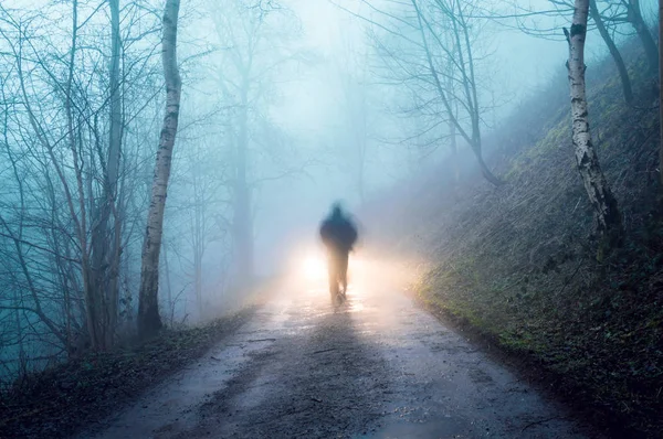 Spooky Figure Silhouetted Car Headlights Muddy Track Eerie Misty Forest — Stock Photo, Image