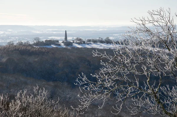 Een Boom Bedekt Met Sneeuw Met Een Monument Achtergrond Het — Stockfoto