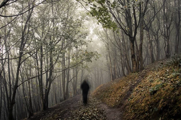 Spooky Ghostly Hooded Figure Walking Forest Path Cold Foggy Winters — Stock Photo, Image