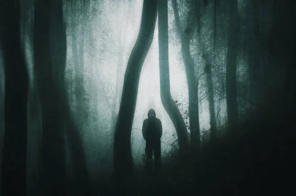 在黑暗的森林里 一个令人毛骨悚然的剪影的照片 头戴头套的身影 眼睛发光 用一个粗野的静音编辑 — 图库照片