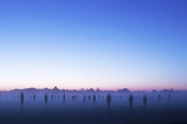 Ghostly Figures Field Walking Out Fog Misty Morning Sunrise — Stock Photo, Image