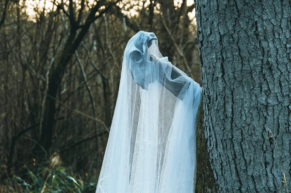 Kışın bir ahşap bir ağaca asılı bir hayalet levha kaplı bir korkutucu koyun kafatası. Sessiz bir düzenleme ile.