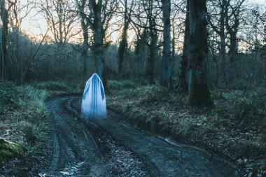 Şeffaf bir hayalet kostümü figürü ayakta bir ormanda yol üzerindeki kış bulanık. Bir grenli sessiz Düzenle.