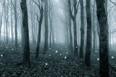 Glowing ghostly lights floating in a foggy, winter forest. With a cold blue edit. clipart