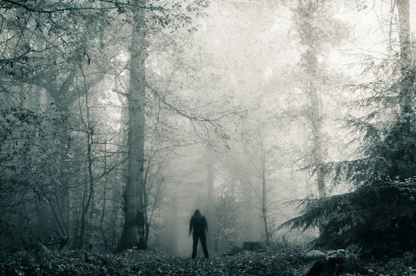 Lone Blurred Sinister Hooded Figure Path Dark Spooky Forest Winter — Stock Photo, Image