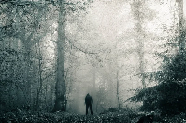 Una Solitaria Siniestra Figura Encapuchada Borrosa Sendero Oscuro Espeluznante Bosque —  Fotos de Stock