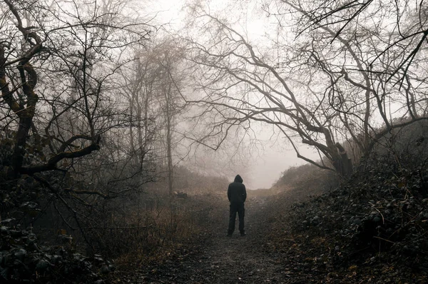 Hooded Figure Standing Spooky Forest Foggy Winters Day Grainy Muted — Stock Photo, Image