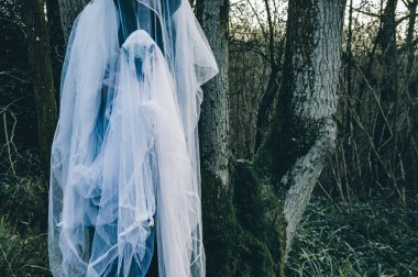 Bir hayalet kostümü figürü bir koyun kafatası ile bir soğuk bir kış woodland holding Düzenle sessiz.