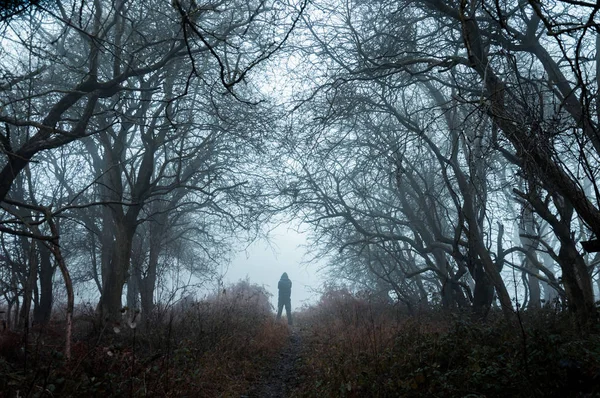 Eine Gruselige Einsame Kapuzenfigur Einem Nebligen Winterwald Mit Dunklem Stummen — Stockfoto