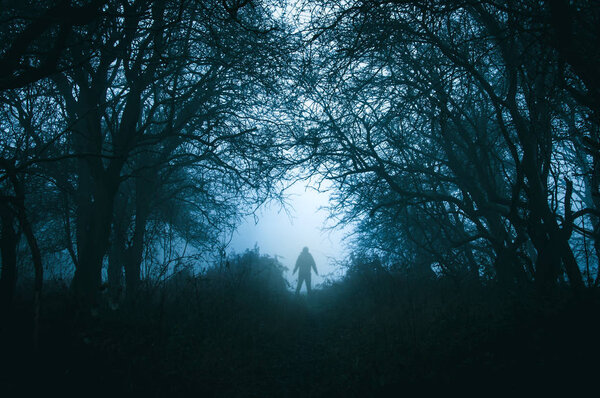 Жуткая одинокая фигура в капюшоне в жутком туманном зимнем лесу с темным приглушенным монтажом
.