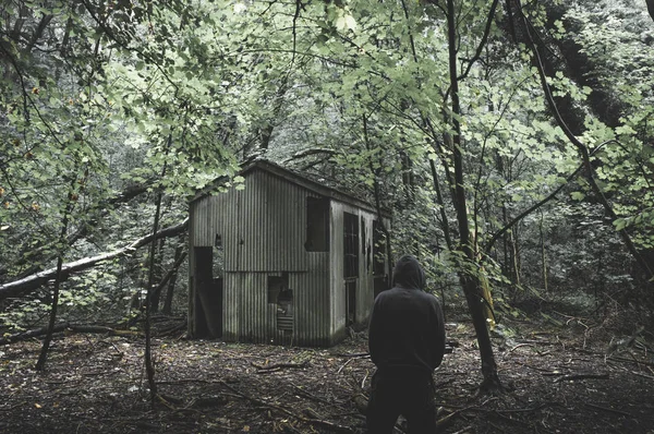 A scary hooded figure standing in a spooky forest next to an ruined hut. With a muted, eerie edit.