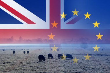 Brexit concept, The English countryside with sheep in a field with the Union Jack and E.U flags over layered on top. clipart