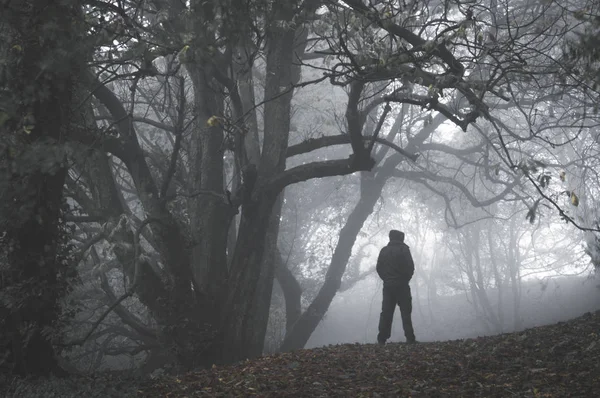 Lone Spooky Hooded Figure Standing Path Winter Forest Foggy Day — Stock Photo, Image