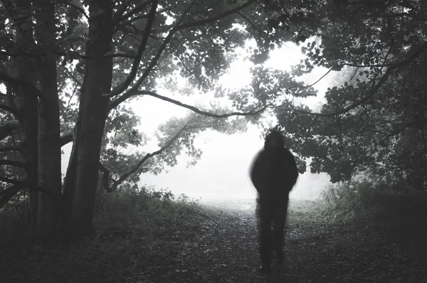 Ένα Τρομακτικό Θολή Ghostly Σχήμα Κουκούλα Ένα Μονοπάτι Στο Δάσος — Φωτογραφία Αρχείου