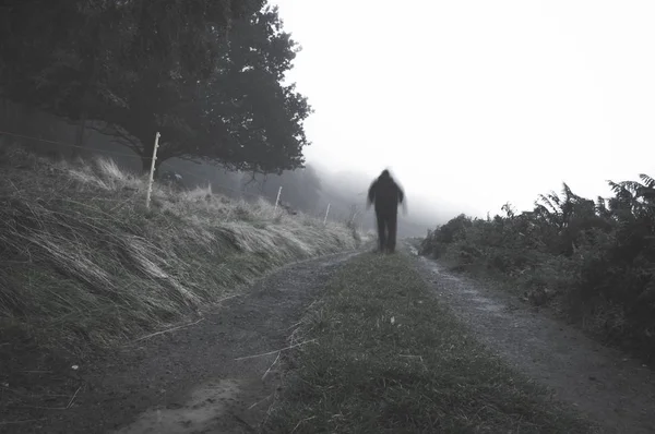 Spooky Blurred Ghostly Hooded Figure Path Countryside Foggy Day Muted — Stock Photo, Image