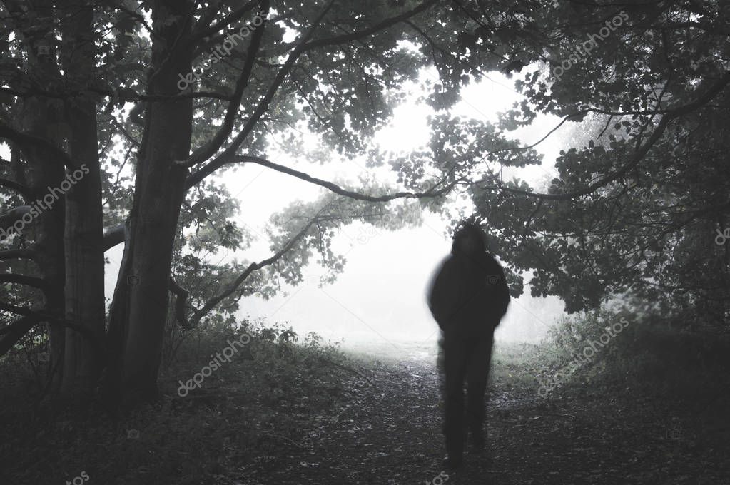 A spooky blurred ghostly hooded figure on a path in a forest on a foggy day. With a muted, grainy edit.