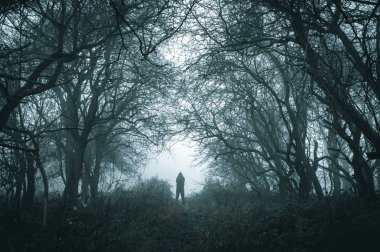 Karanlık bir sessiz düzenleme ile kışın sisli bir ormanda yol üzerindeki spooky yalnız kukuletalı şekil.