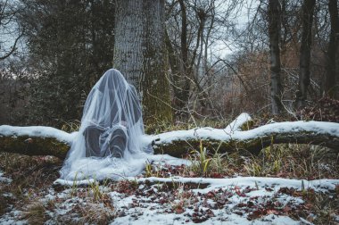 Hayalet, kapüşonlu, korkunç bir rakam. Karlı bir ormanda oturan. Huysuz bir düzenleme ile.