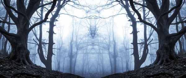 Tükrözött Fogalmának Egy Kísérteties Erdő Egy Ködös Tél Nap — Stock Fotó