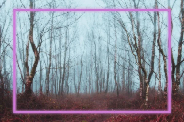 Arka Plan Ürkütücü Puslu Kış Orman Üzerinde Çerçeveli Bir Parlak — Stok fotoğraf