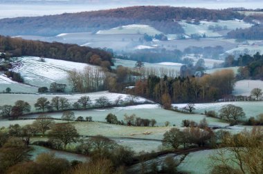 Alanlar ve İngilizce bir manzara orman soğuk bir kışlık sabahı arıyorum. Eastnor, Malvern Hills, Herefordshire, İngiltere.