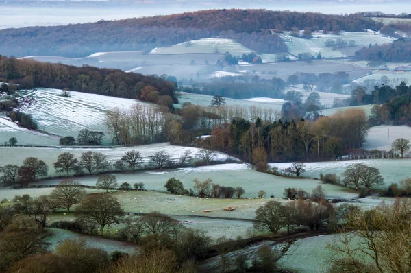 在一个寒冷的冬天的早晨 隔着英国风景的田野和树林 马尔文山 赫里福德郡 — 图库照片
