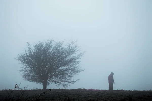 Yalnız Bir Kukuletalı Rakam Sis Moorland Kasvetli Kış Gününde Görünmesini — Stok fotoğraf