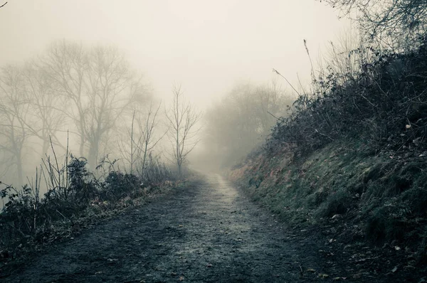 在农村一个诡异的雾蒙蒙的冬天的日子里 一条诡异的小路 与深褐色编辑 Malvern Hills Worcestershire — 图库照片