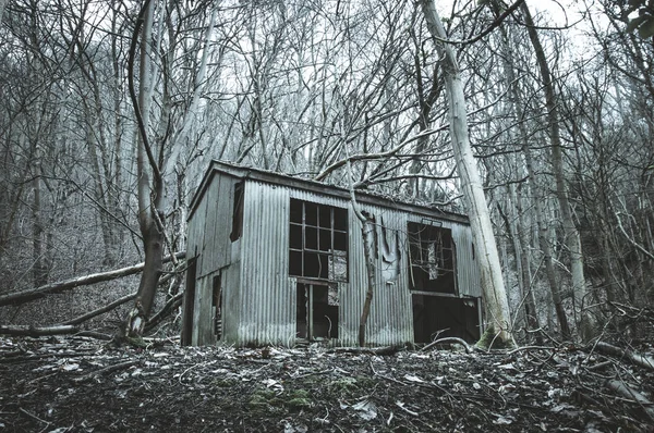 Kijken Een Spooky Verlaten Hut Een Het Midden Van Een — Stockfoto