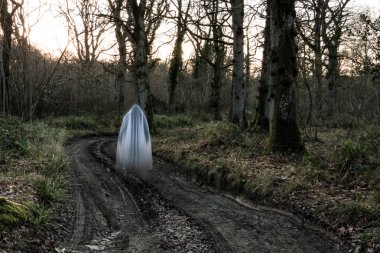 Bir bulanık, ürkütücü hayalet, kapüşonlu rakam kışın bir ormandaki bir yolda. Sessiz bir düzenleme ile.