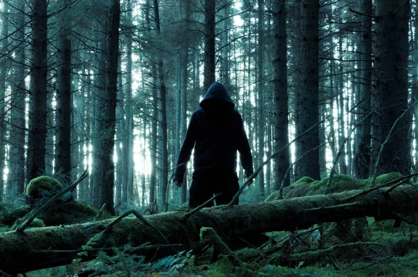 A lone sinister hooded figure looking at the camera standing in a spooky forest in winter. With a dark moody edit.