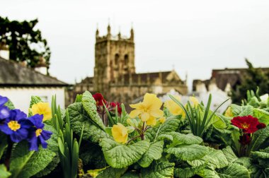 The ancient Malvern Priory,  out of focus with flowers in the foreground. Malvern, UK. clipart