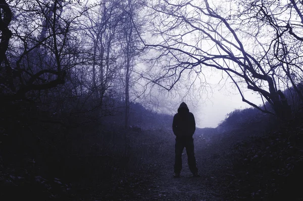 Scary Hooded Figure Standing Foggy Woodland Winter Hard Blue Edit — Stock Photo, Image